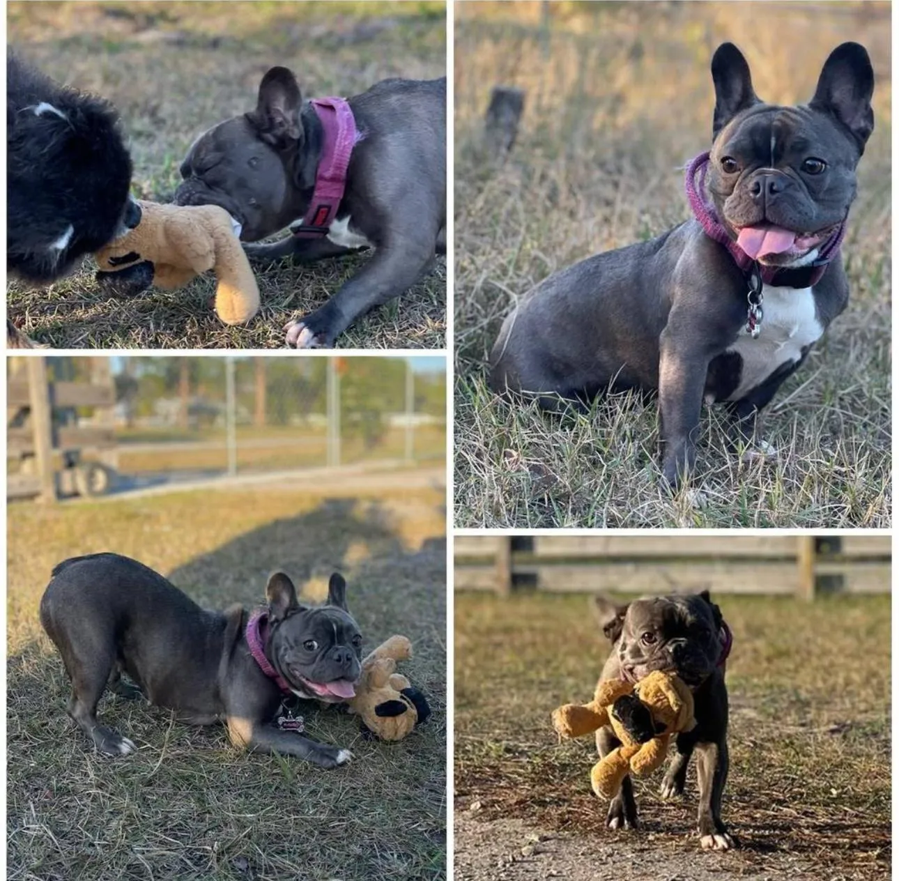 Happy guest at Snuggles