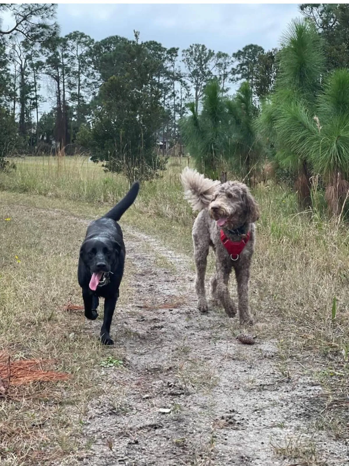 Happy guest at Snuggles