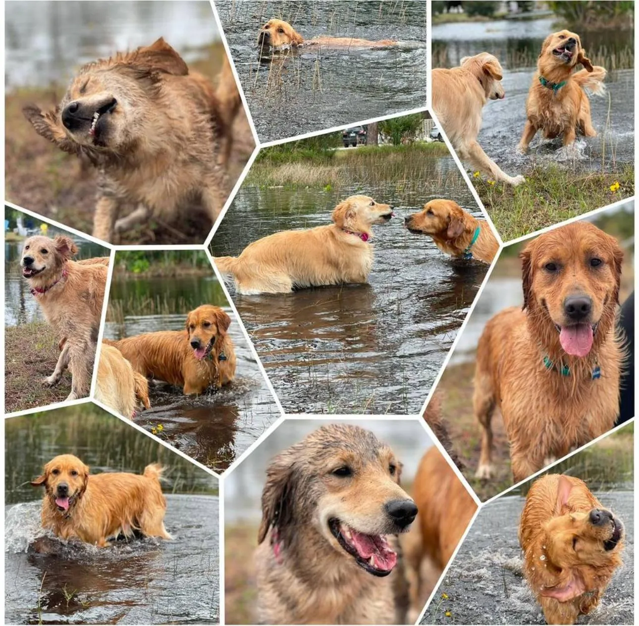 Happy guest at Snuggles