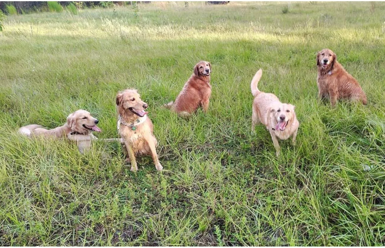 Happy guest at Snuggles