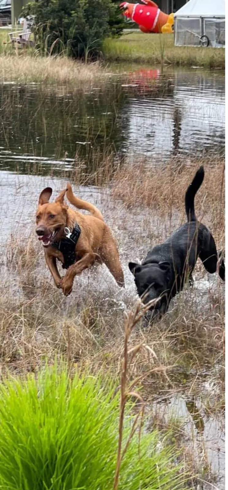 Happy guest at Snuggles