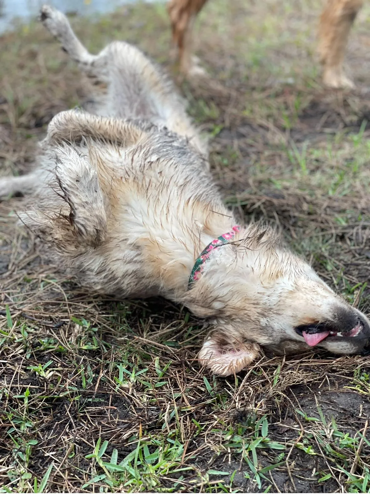 Happy guest at Snuggles