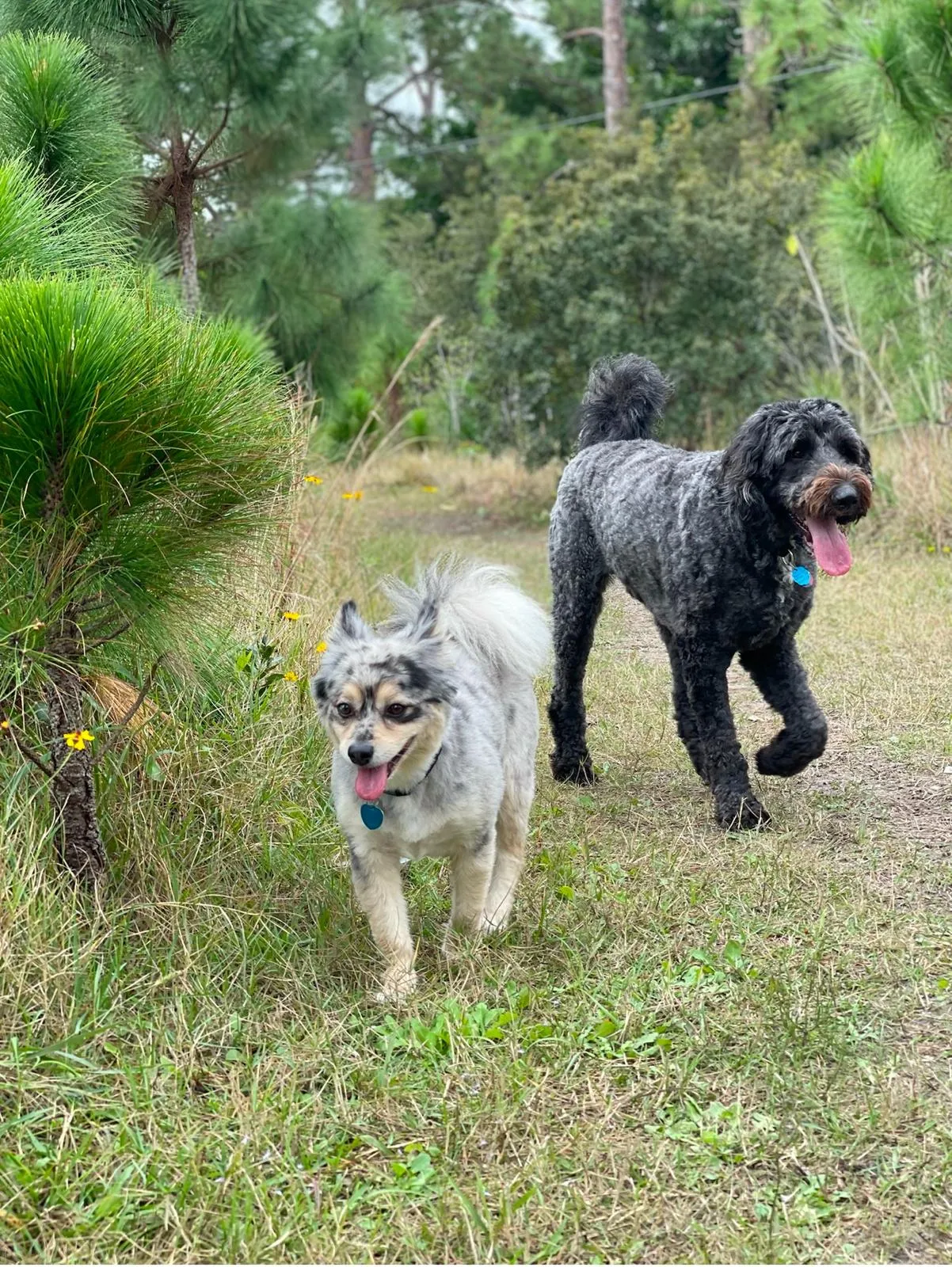 Happy guest at Snuggles